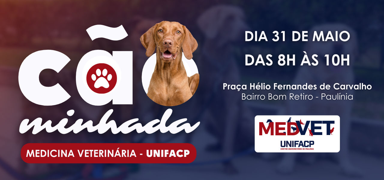 UNIFACP promove Cãominhada para incentivar cuidados com os pets e bem-estar animal