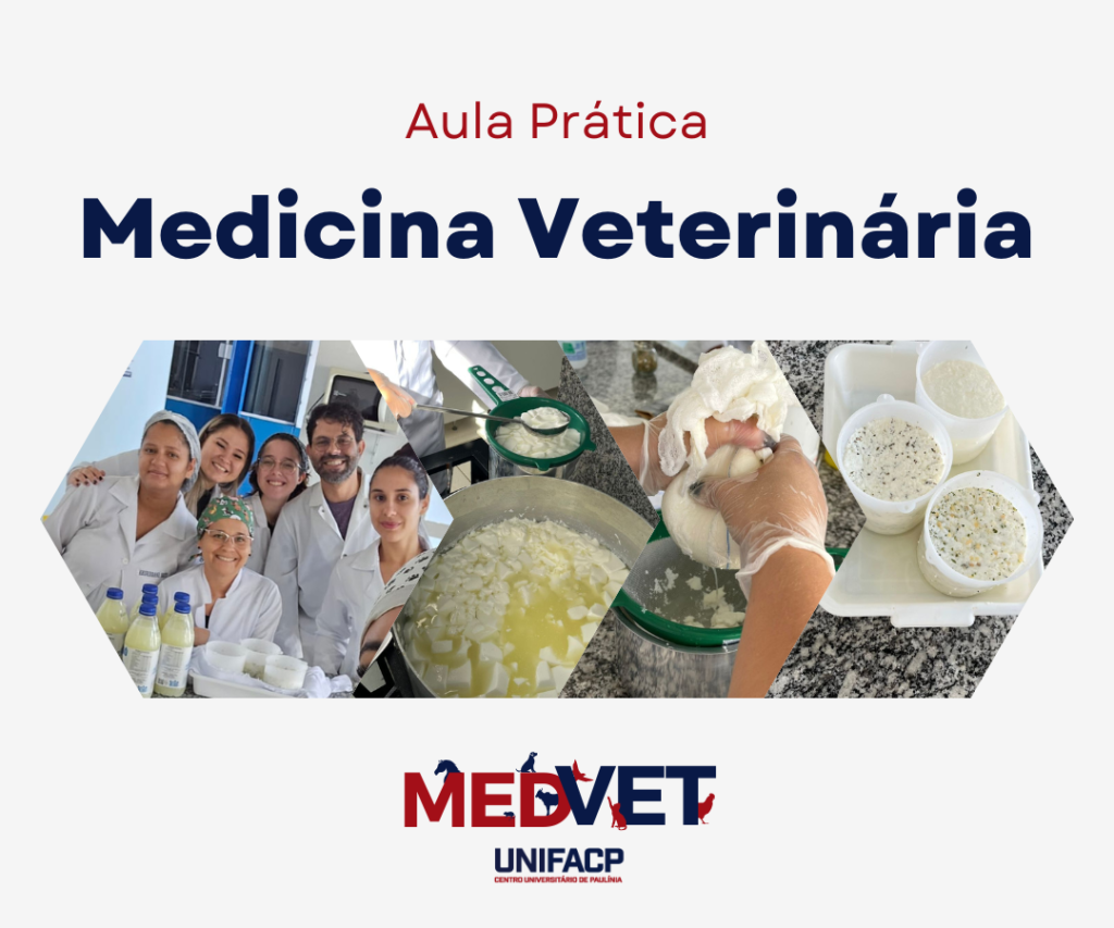 Futuros Médicos Veterinários da UNIFACP Vivenciam Aula Prática de Higiene e Inspeção de Produtos de Origem Animal - Derivados Lácteos