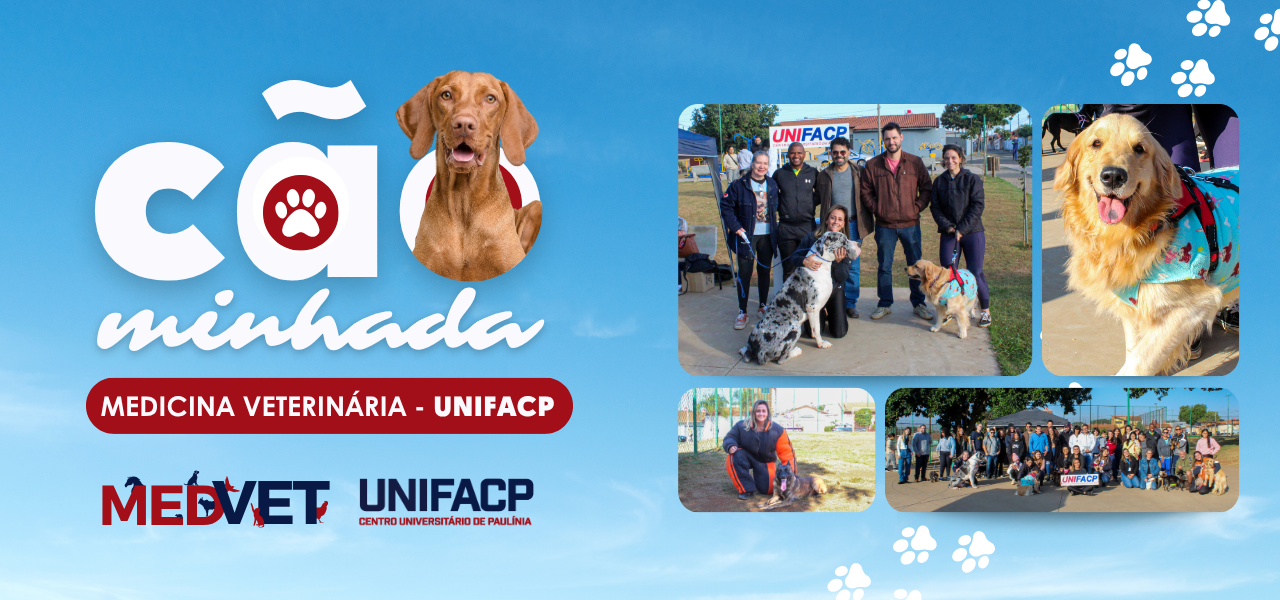 Primeira Cãominhada UNIFACP reúne tutores, pets e comunidade em manhã especial de lazer e conscientização